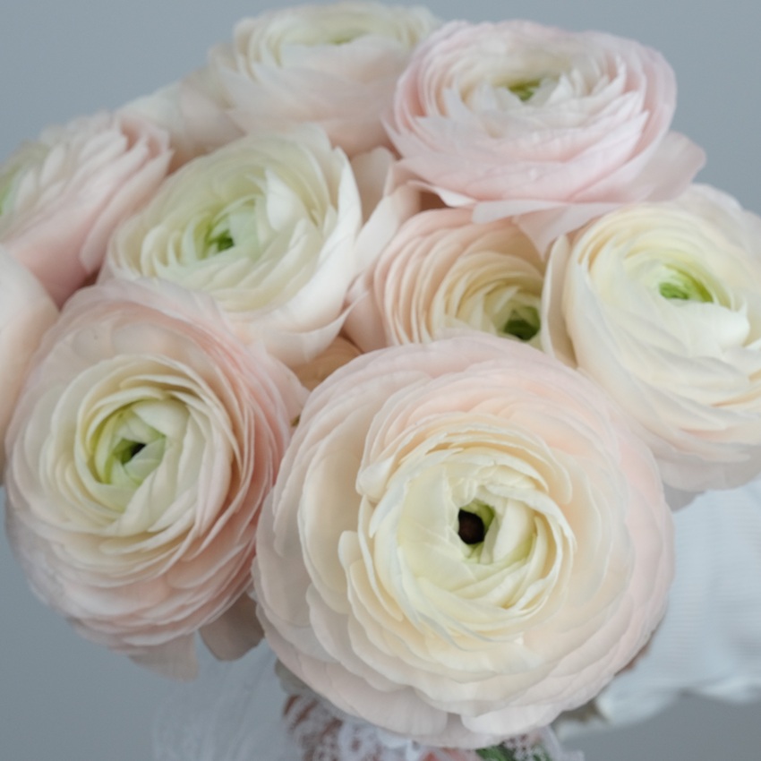 Букет невесты с ранункулюсами "Кружевная нежность"