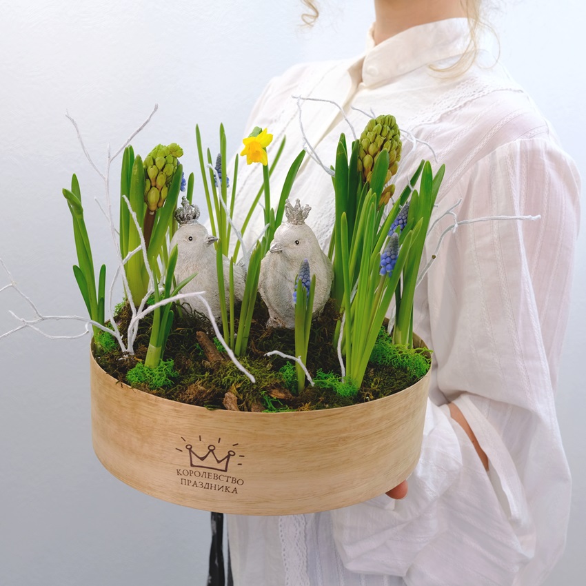 Садик с первоцветами: мускари и нарциссы в композиции "Ранние пташки"