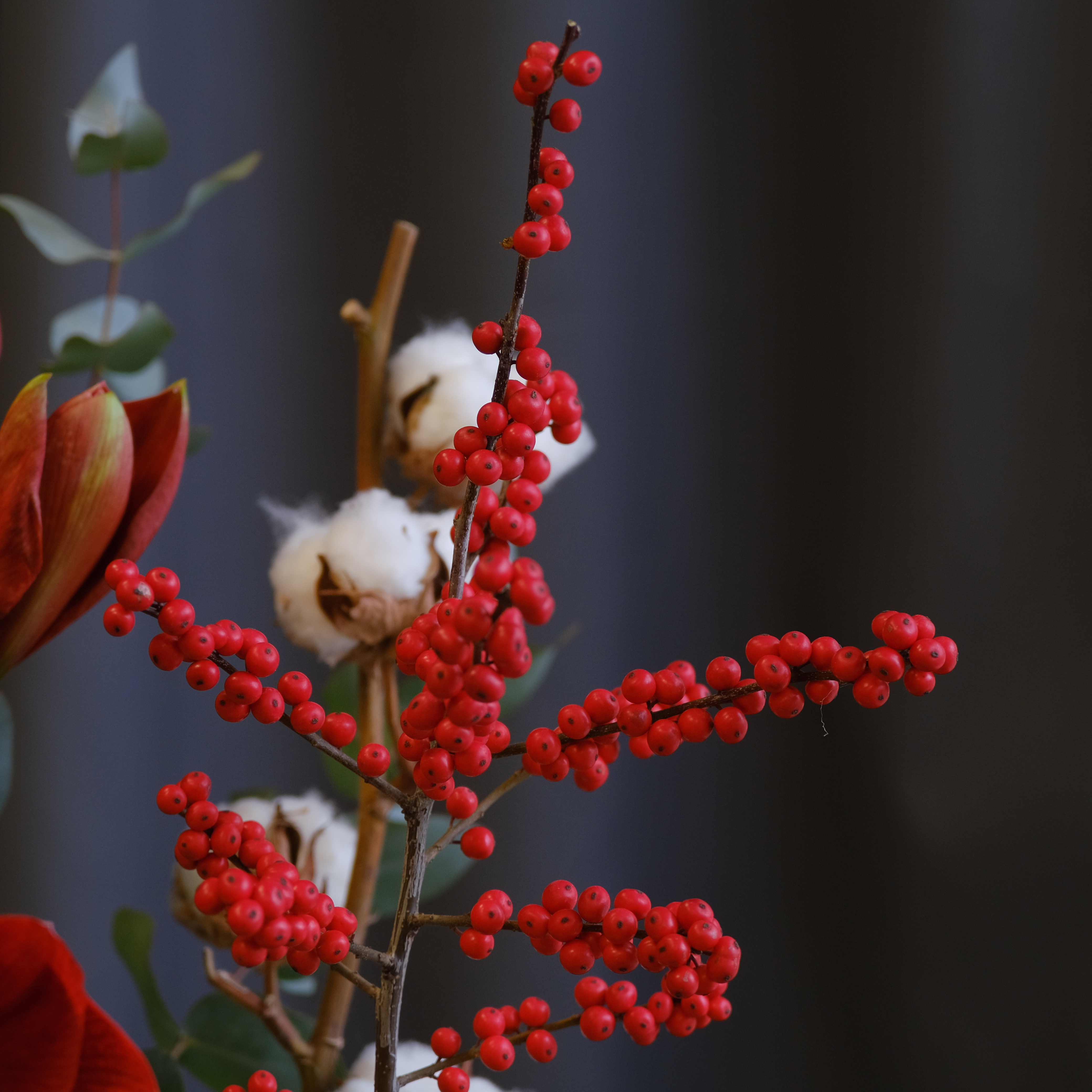 Амариллисы, илекс и хлопок в стеклянной вазе