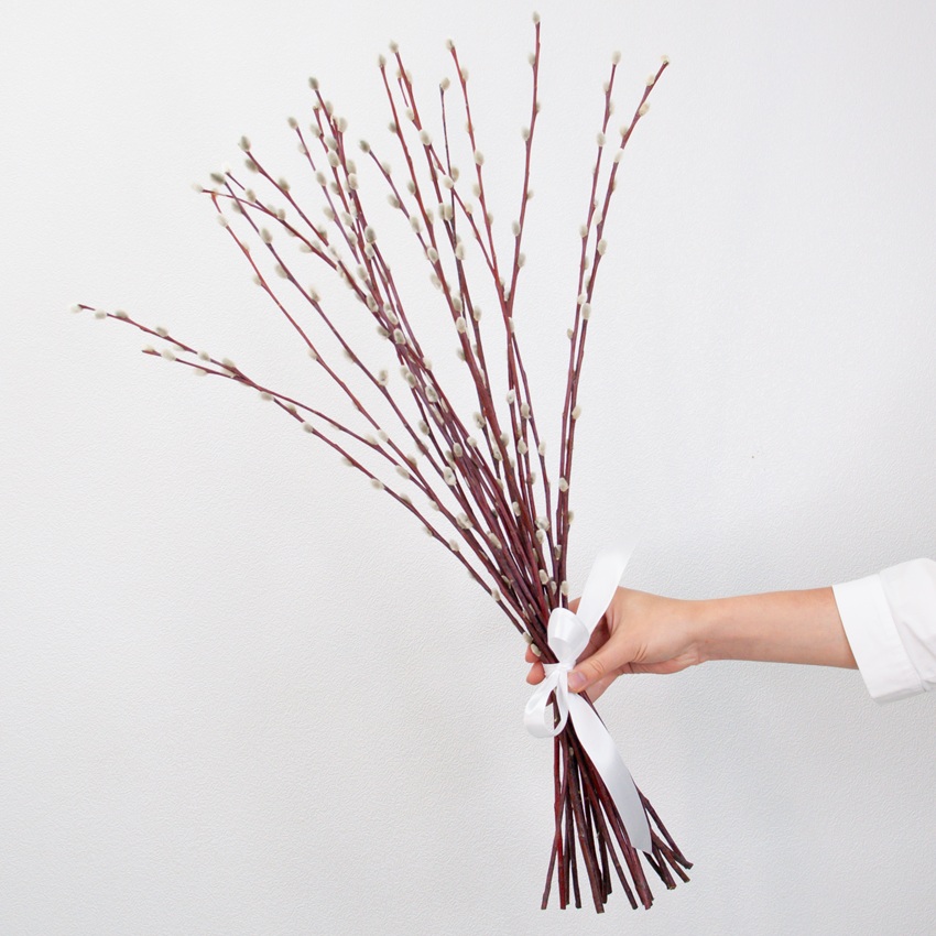 Верба - банч 