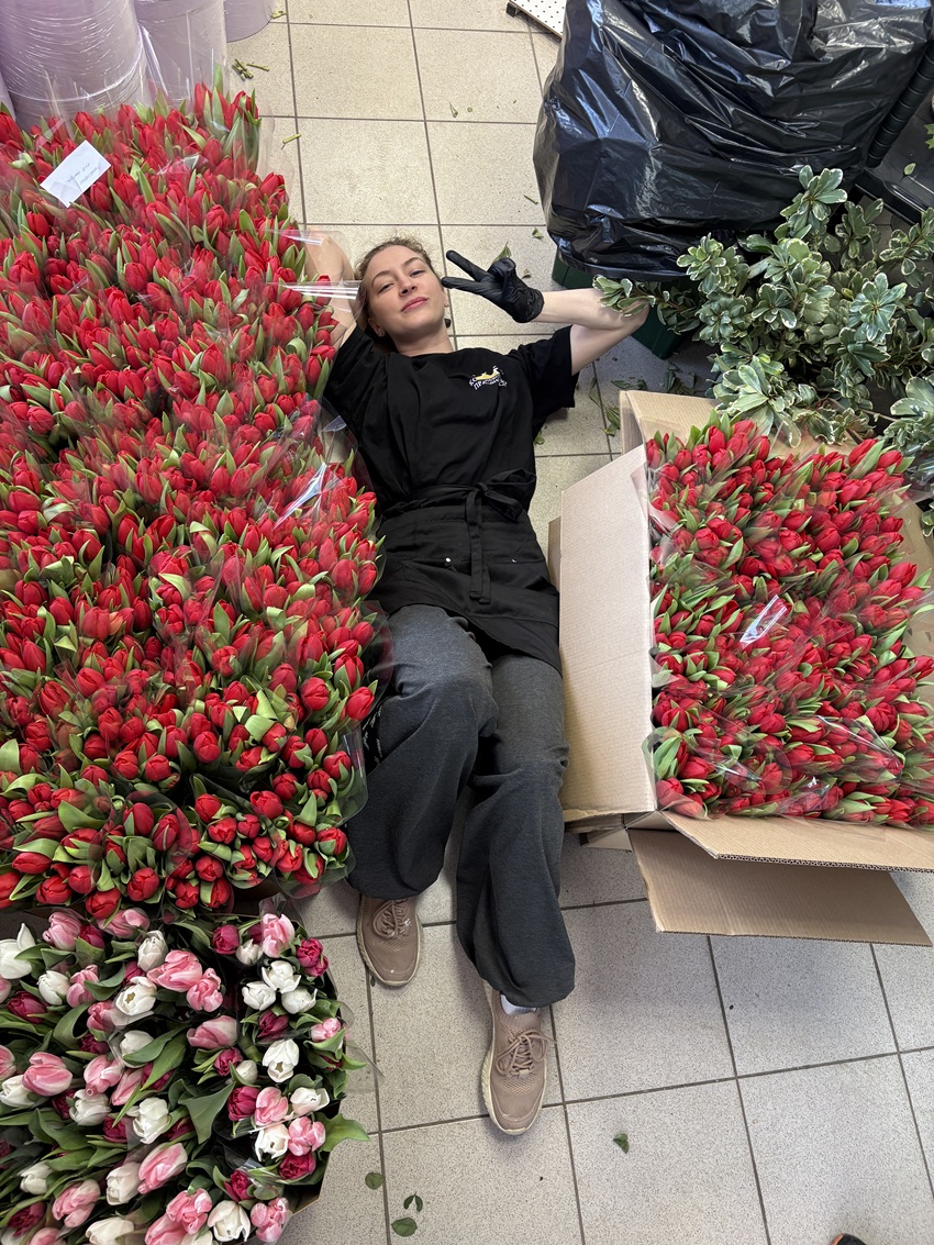 Букет из 7 тюльпанов в упаковке. Корпоративные подарки на 8 марта. Цена от 10 шт.