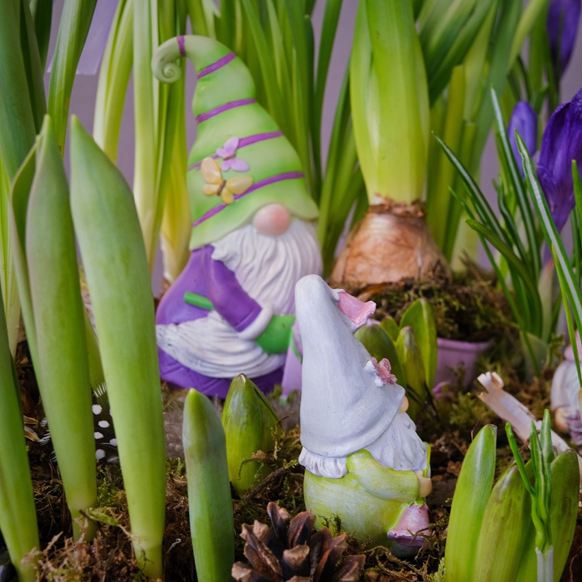 Садик с первоцветами: крокусы, тюльпаны и нарциссы "Весенний переполох"