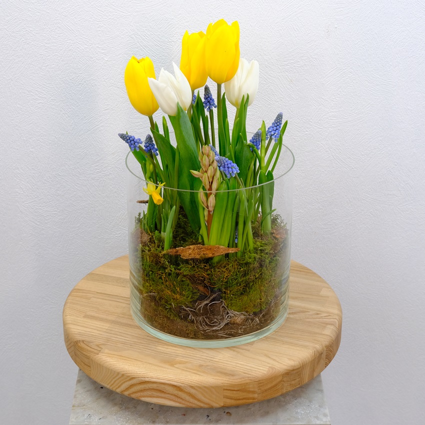 Садик с первоцветами: тюльпаны, мускари и нарциссы в стеклянной вазе