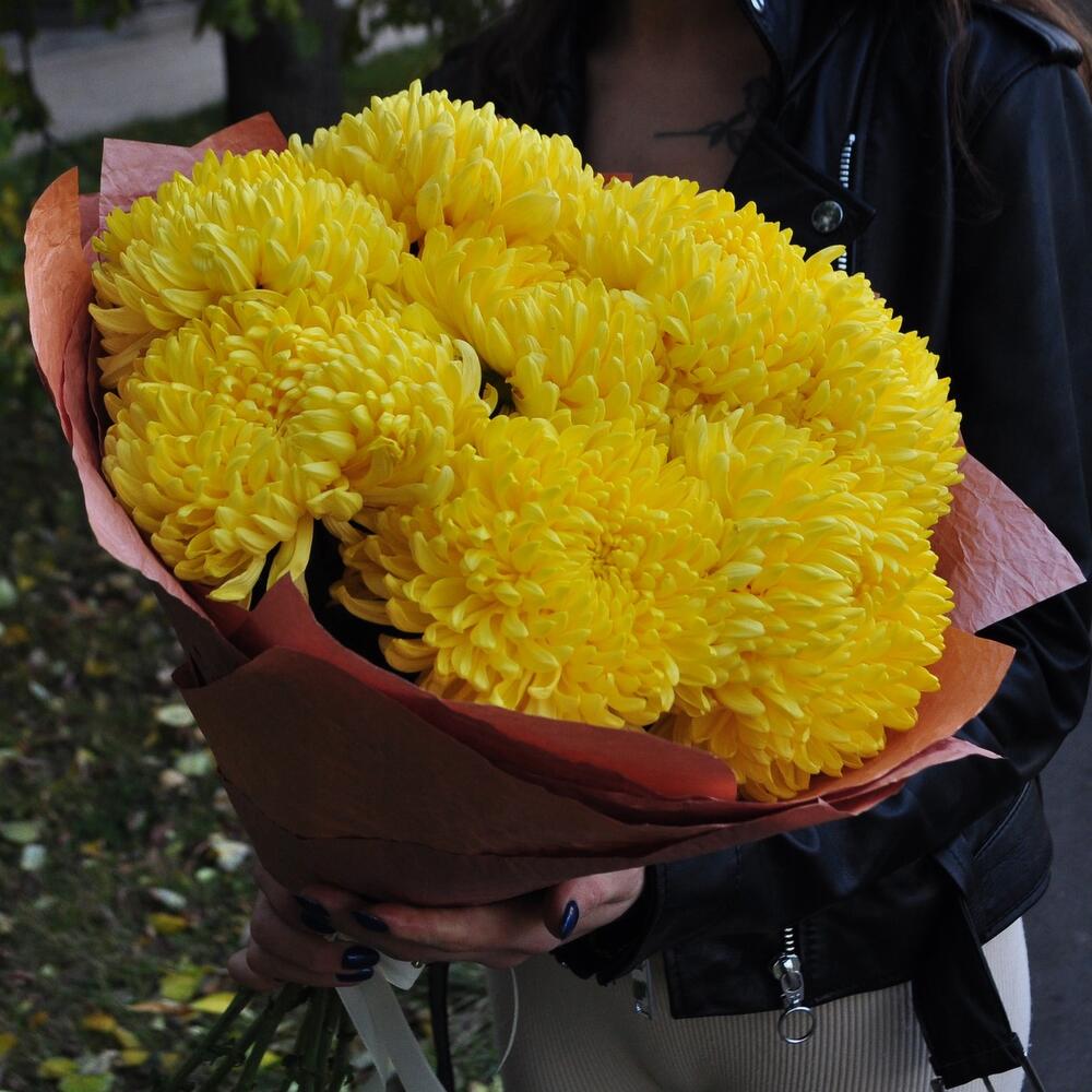 Хризантема желтая сортовая, 9 штучек