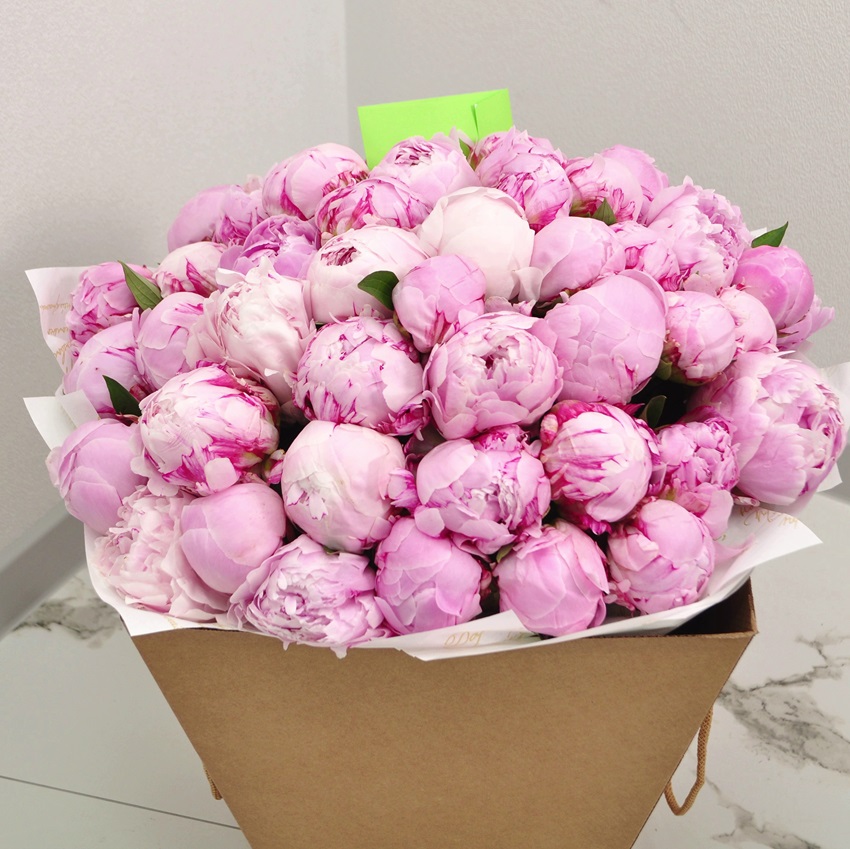 51 пион Сара Бернар (крупные пионы)