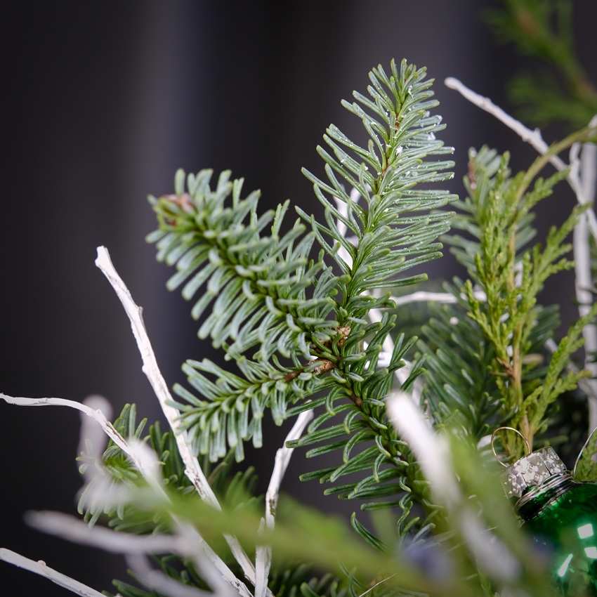 Нобилис в композиции в красных оттенках на новый год