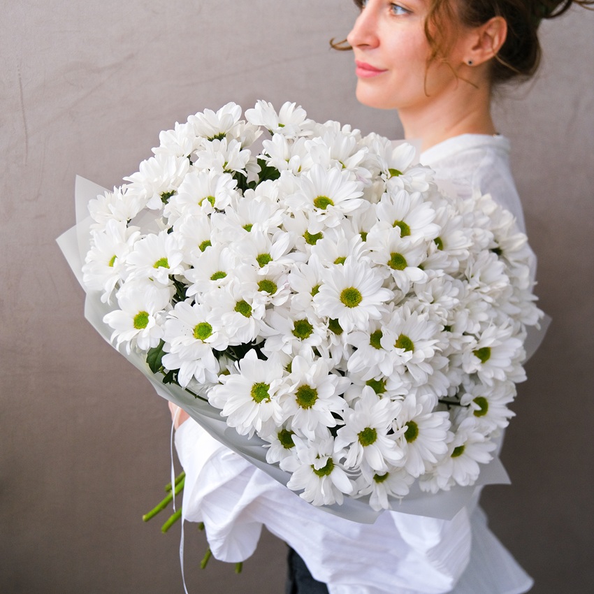 Хризантема ромашка, 15 штучек