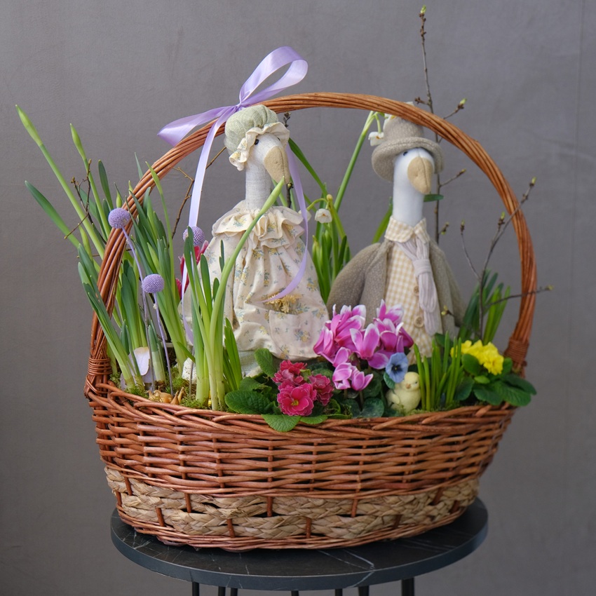 Садик с первоцветами в корзине: мускари, примула, нарциссы и цикламен "Весенние гуси"