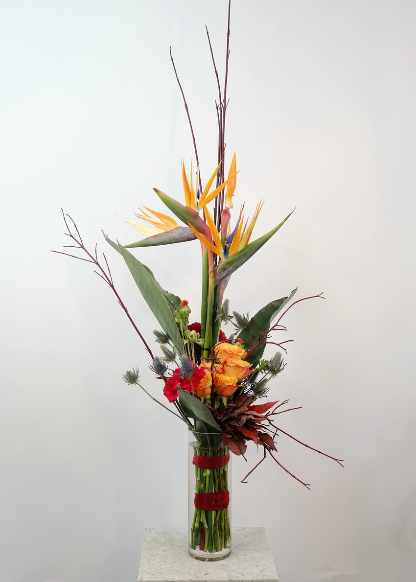 Вертикальный букет со стрелицией. Мужской бизнес букет