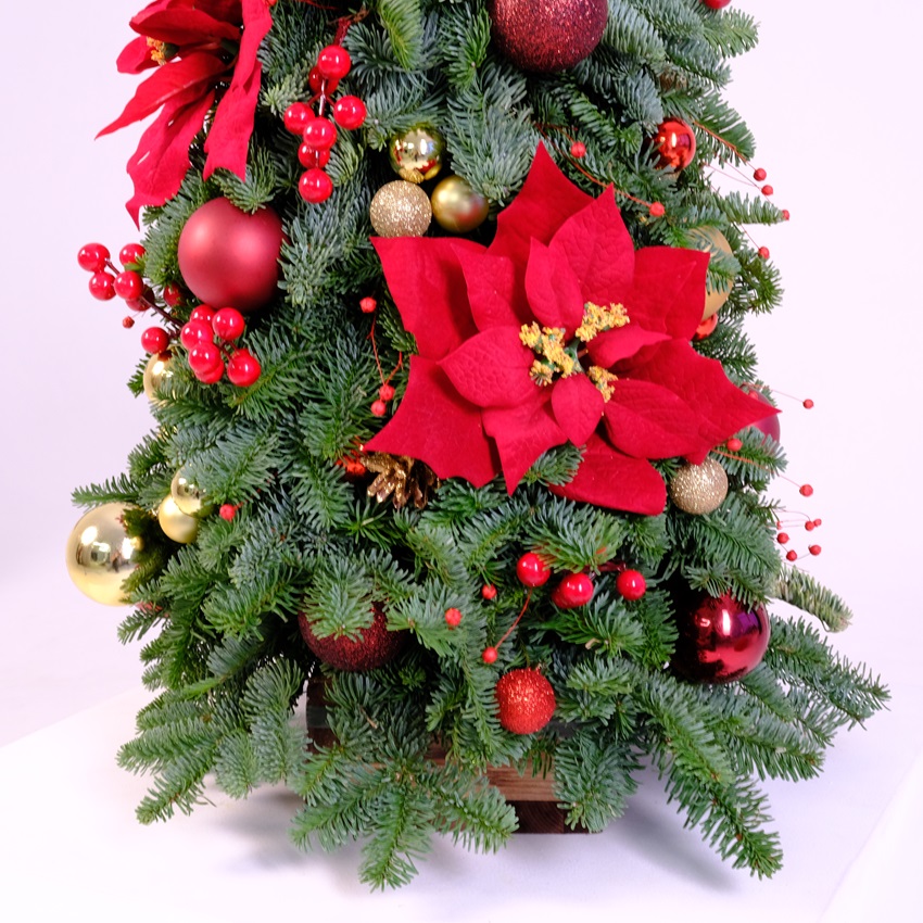 Ёлка новогодняя из датской пихты, 65 см "Обыкновенное чудо"