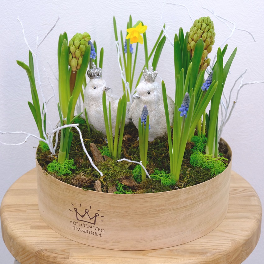 Садик с первоцветами: мускари и нарциссы в композиции "Ранние пташки"