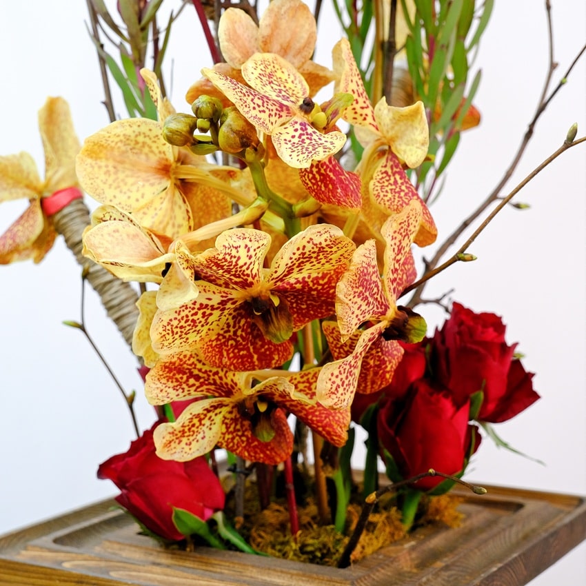 Авторская композиция с орхидеей Ванда и антуриумами