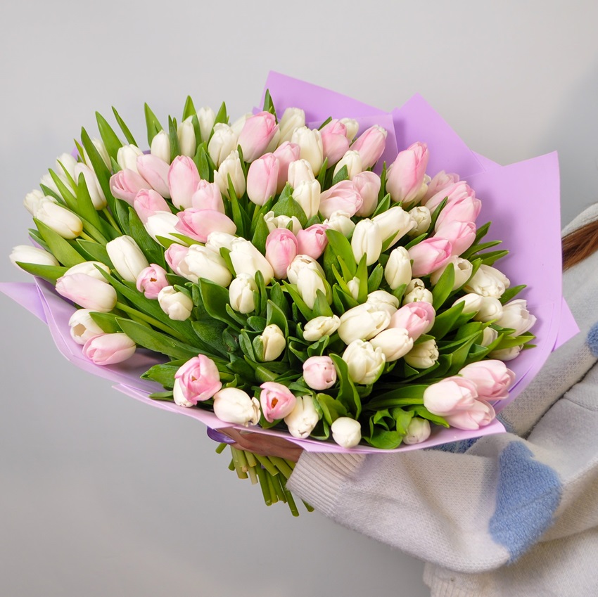 101 тюльпан - Микс Нежности (белые и розовые)