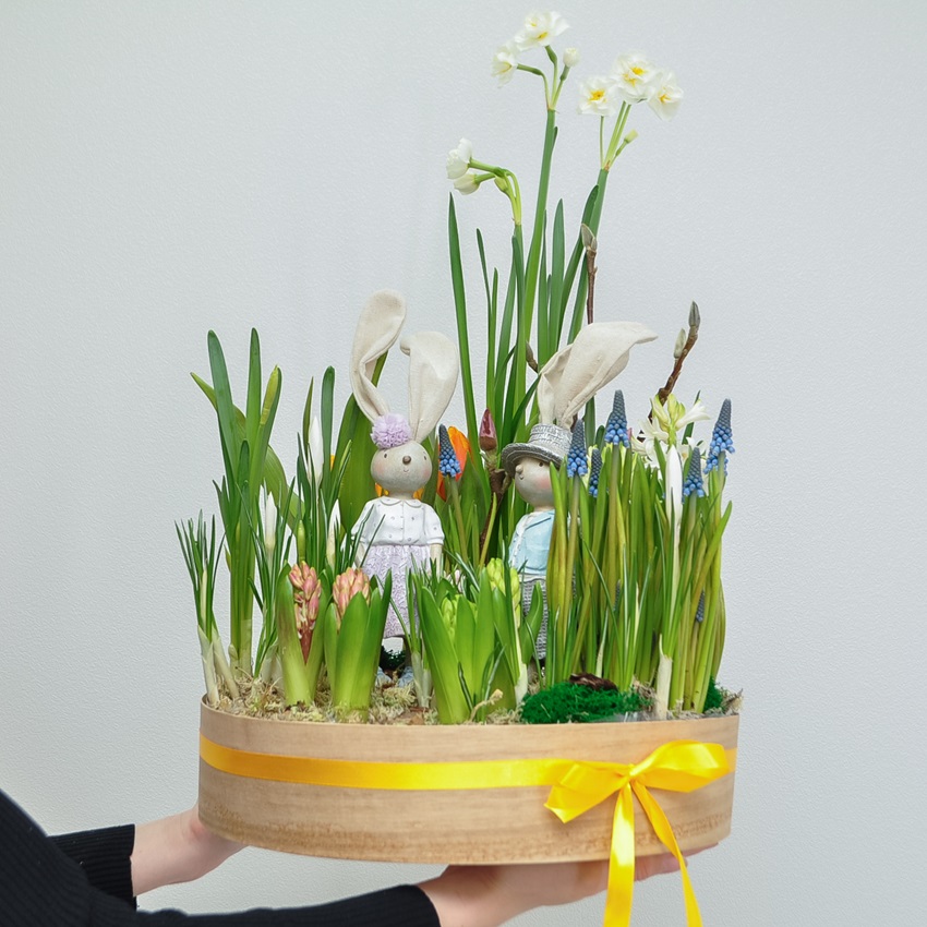 Садик с первоцветами: крокусы, тюльпаны, нарциссы и гиацинты "Зайчата"