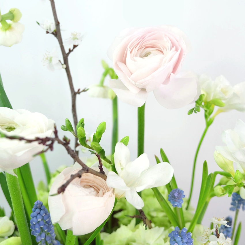 Гортензия, ранункулюсы и мускари в композиции "Цветущий сад"