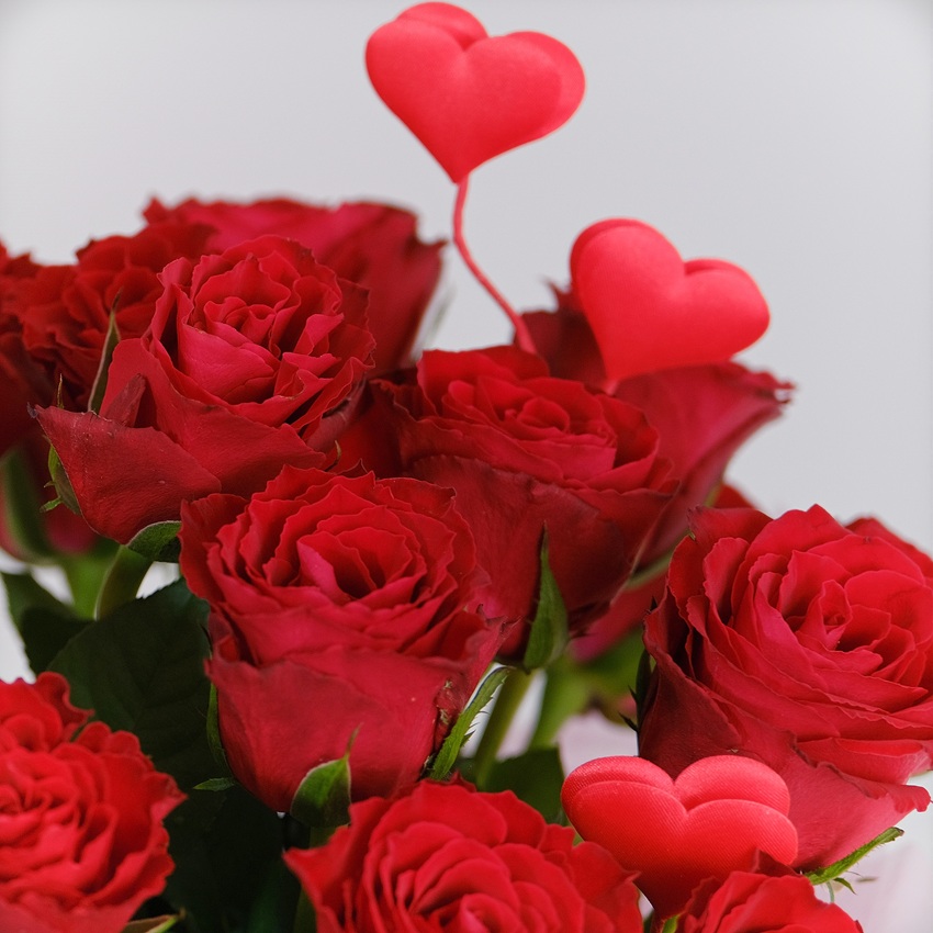 21 красная роза в коробочке "Африканская страсть"