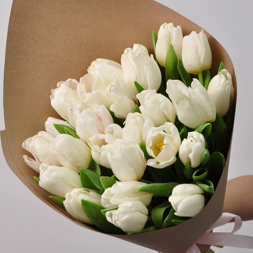25 белых тюльпанов