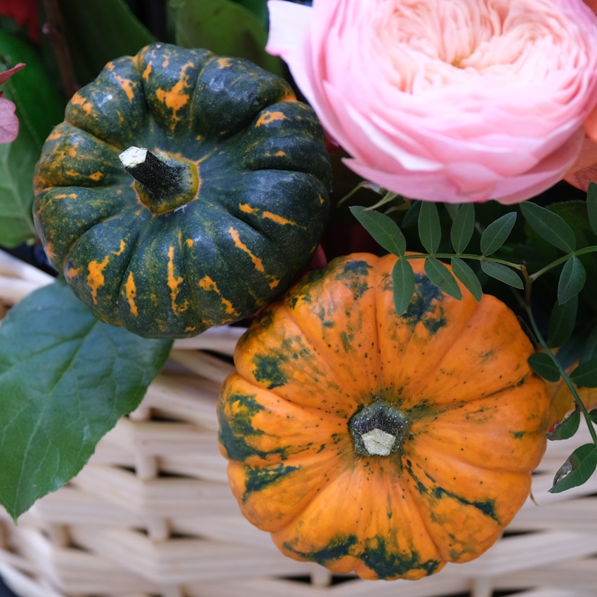 Орхидея цимбидиум, розы и тыковки в композиции "Осенний карнавал"