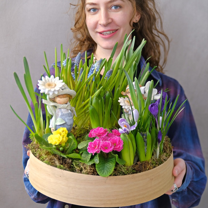 Садик с первоцветами: крокусы, мускари, нарциссы и примула "Цветочный хоровод"