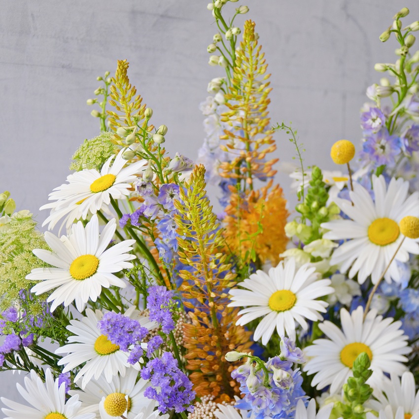 Крупные ромашки и голубой дельфиниум в джутовой сумке "Полевая почта"