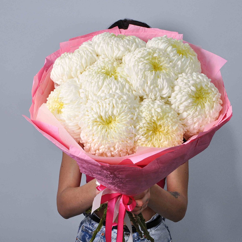 Хризантема белая, 9 штучек