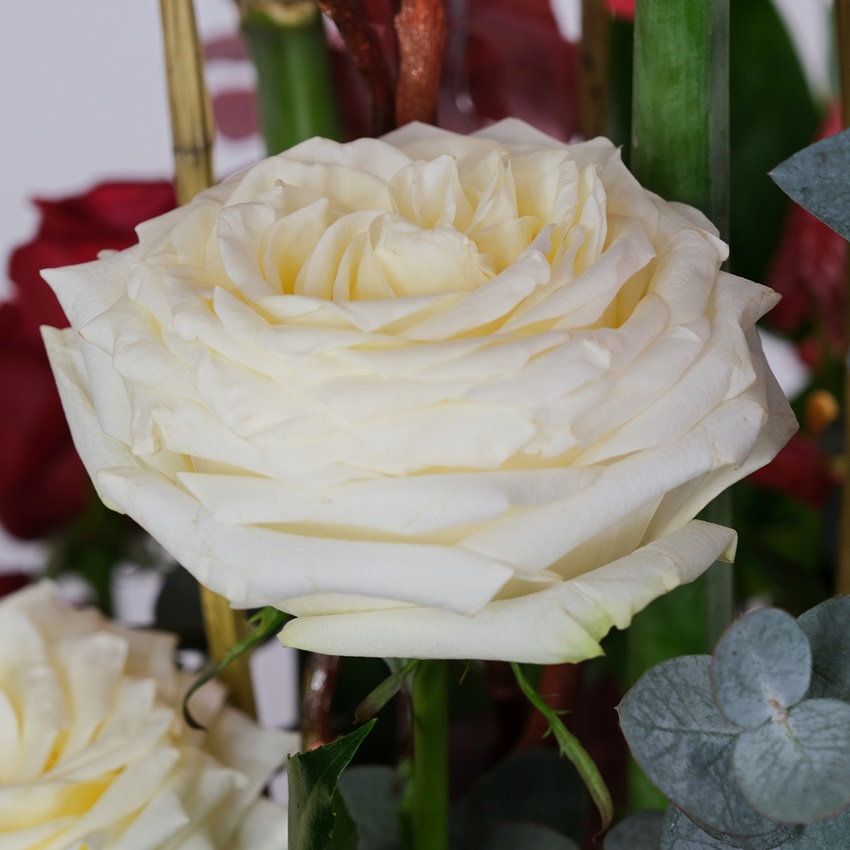 Амариллисы, антуриум и лотосы в композиции "Цветочное пламя"