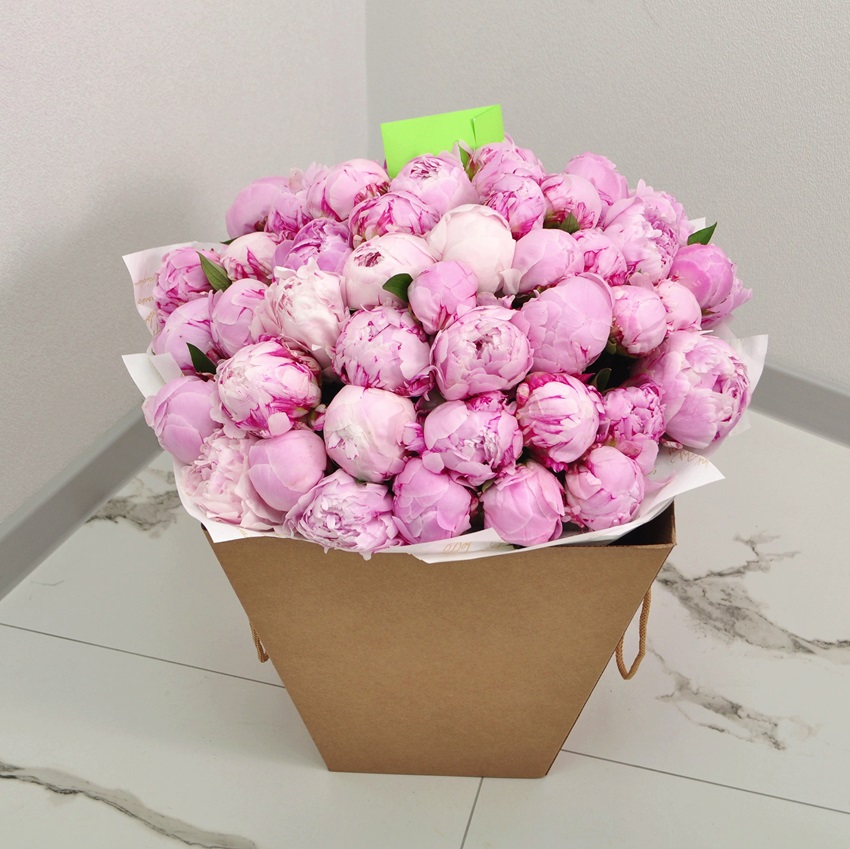 51 пион Сара Бернар (крупные пионы)