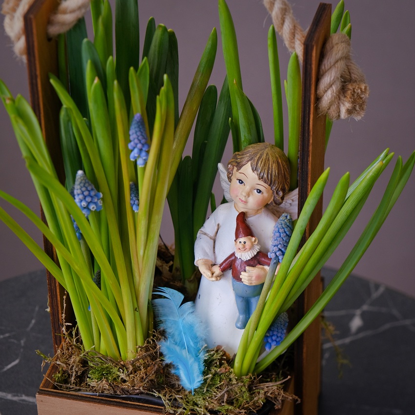 Мини сад с мускари нарциссами (луковичные) с сувениром в ящичке «Ангел Весны»