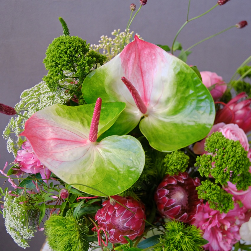 Авторский букет: антуриумы, протея и гвоздики в букете "Тропикана"