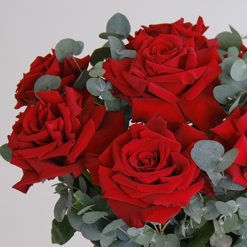 Французские розы в коробке с эвкалиптом, 9 штучек