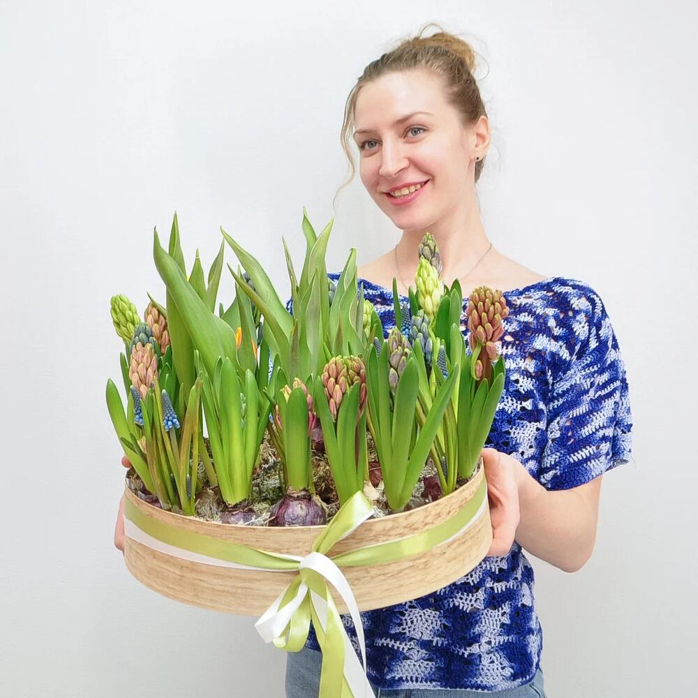 Садик с первоцветами в большом деревянном ящике: гиацинты, мускари, тюльпаны