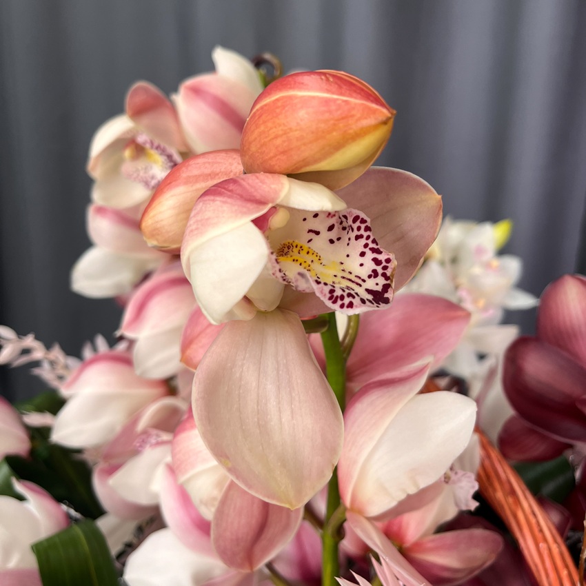 Орхидеи Цимбидиум в роскошной интерьерной корзине