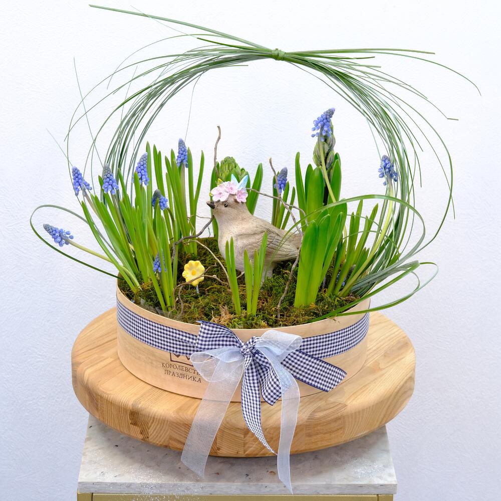 Садик с первоцветами: гиацинты и мускари с сувениром «Ранняя пташка»