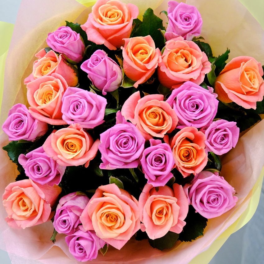 Персиковые и розовые розы 60 см, 25 штучек "Волшебный микс"
