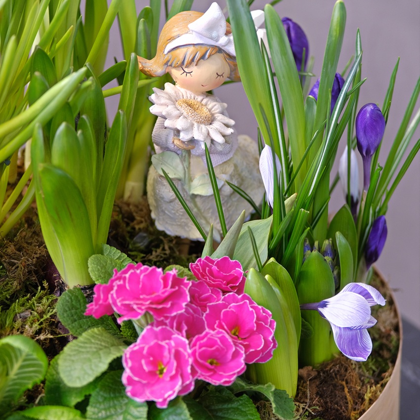 Садик с первоцветами: крокусы, мускари, нарциссы и примула "Цветочный хоровод"