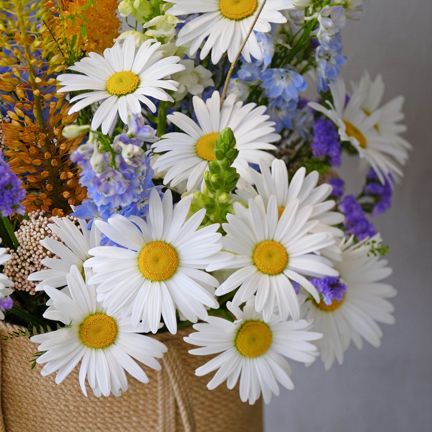 Крупные ромашки и голубой дельфиниум в джутовой сумке "Полевая почта"