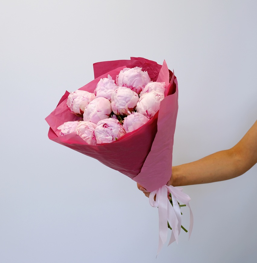 Пионы Сара Бернар Экстра, 11 штук