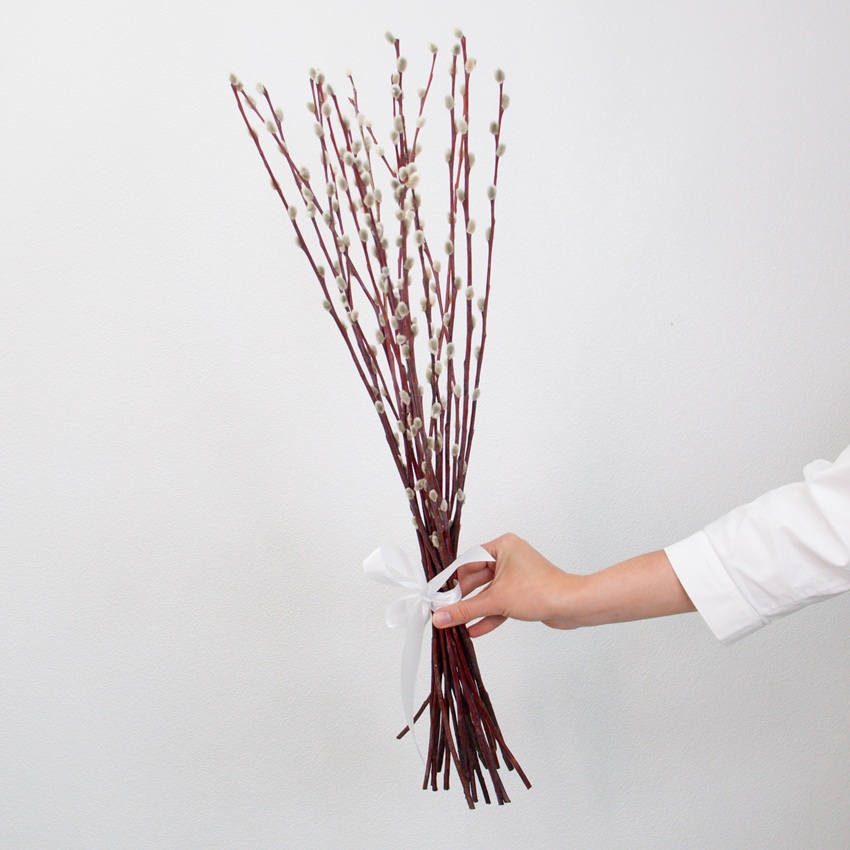 Верба - банч 