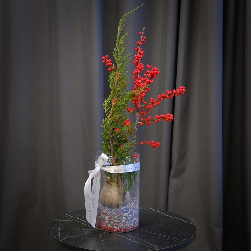 Луковица амариллиса, илекс и можжевельник в стеклянной вазе