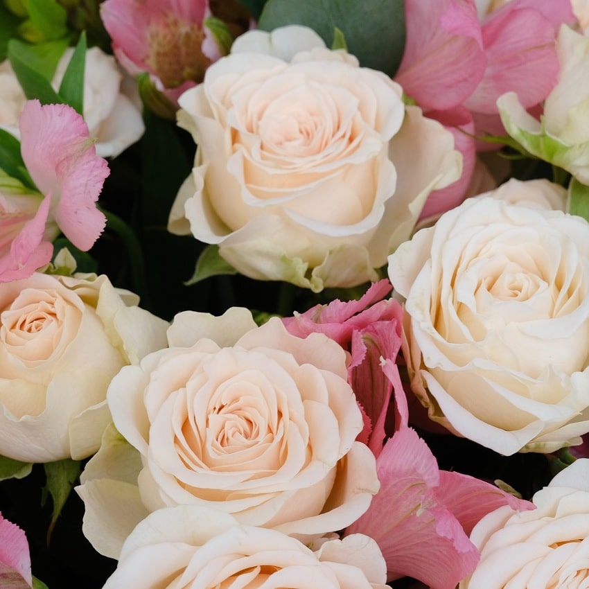Кустовые розы и альстромерия в милом букете "Сливочный Рассвет"