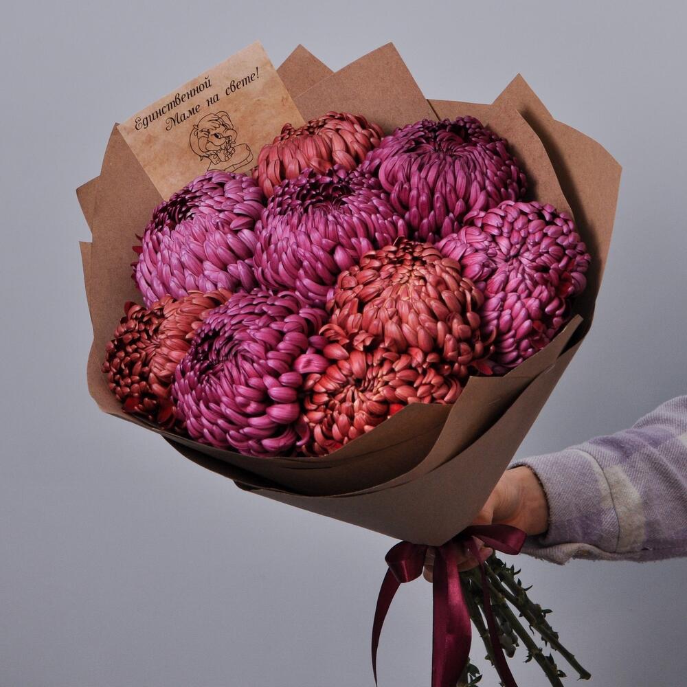 Хризантемы винного оттенка, 9 штучек «Для Мамы»