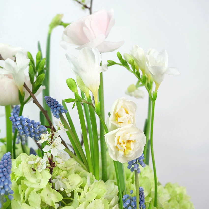 Гортензия, ранункулюсы и мускари в композиции "Цветущий сад"