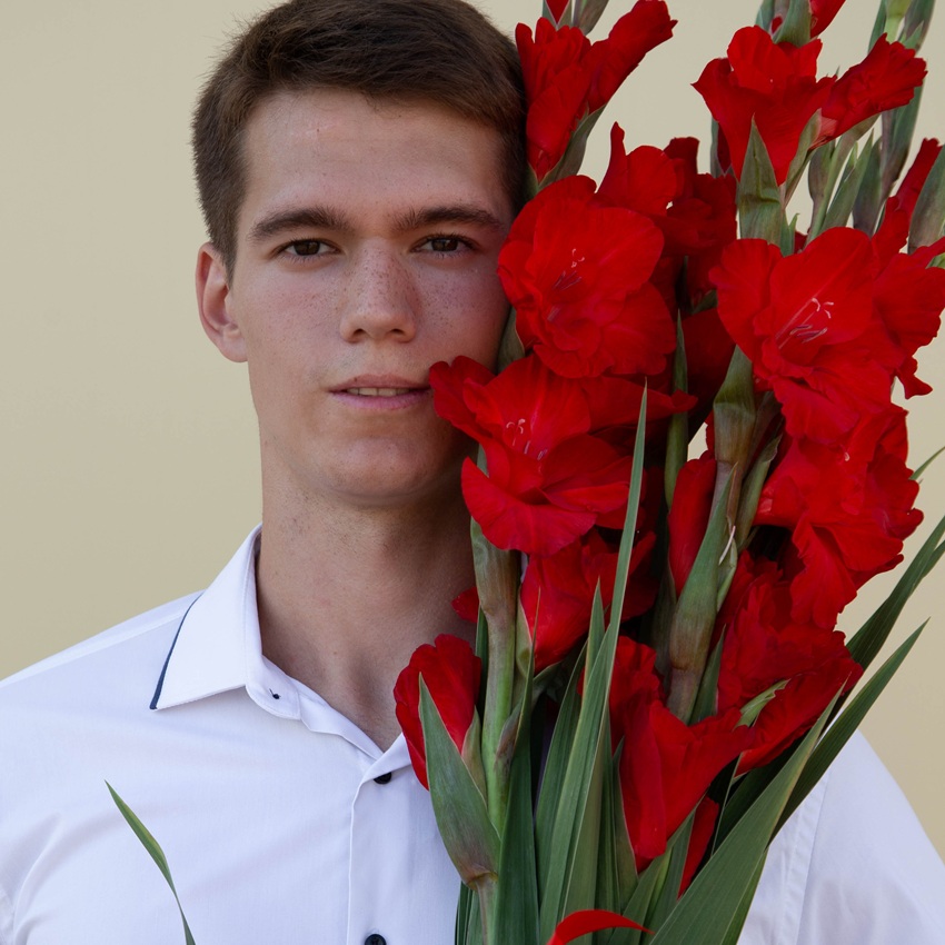 Красные гладиолусы, 5 шт