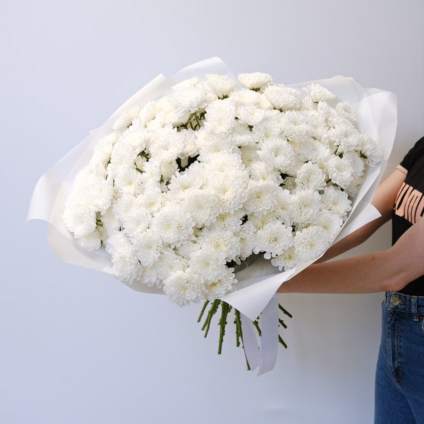 Хризантемы белые пушистые, 25 штучек