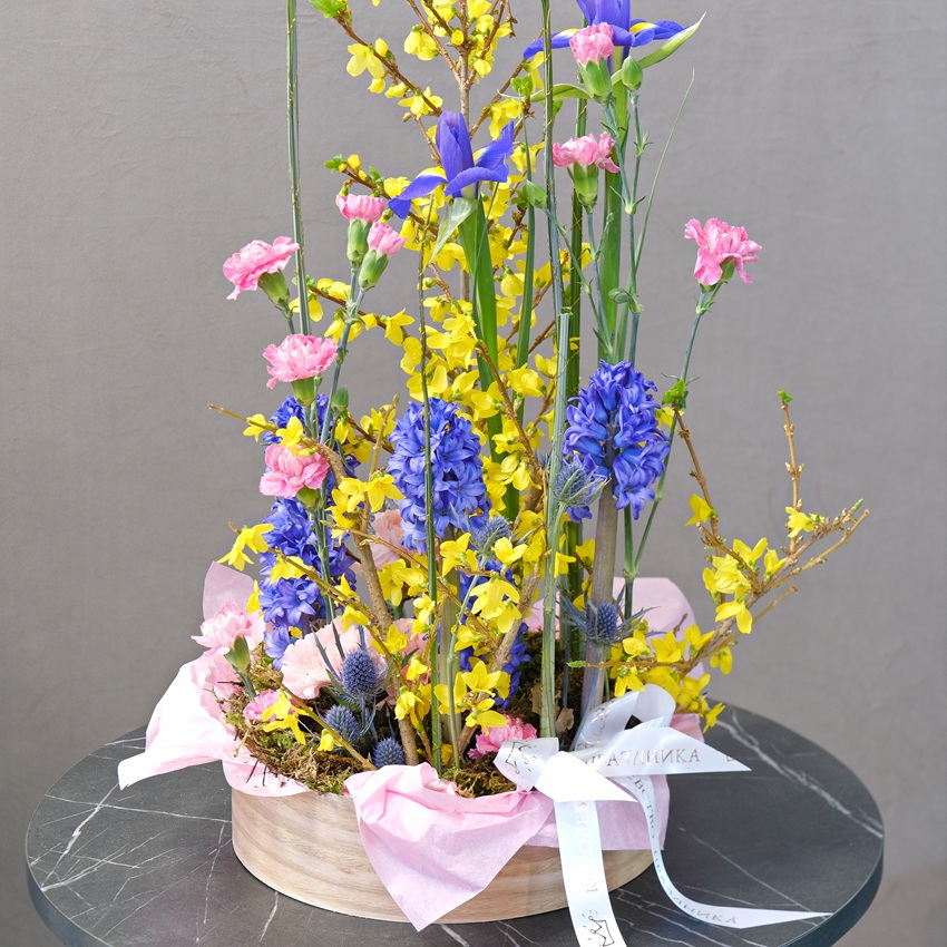 Гиацинты, ветки форзиции и ирисы в композиции в кашпо "Цветные сны"