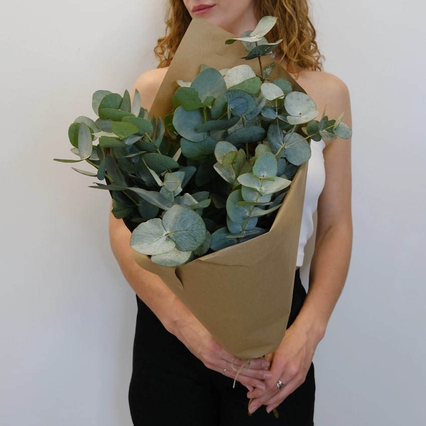 Зелёный букет - эвкалипт, букет для интерьера