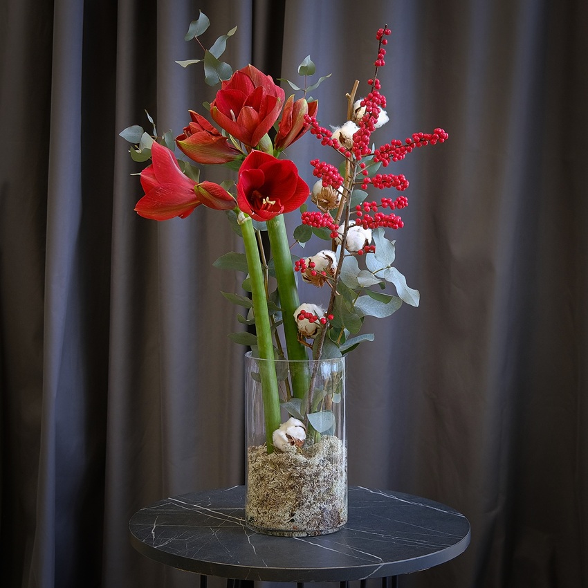 Амариллисы, илекс и хлопок в стеклянной вазе