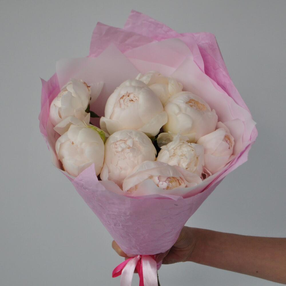 Белые пионы, 9 штучек