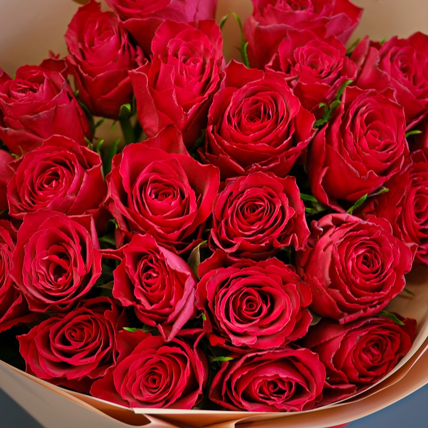 Красные розы, 25 штучек в круглой бежевой матовой пленке