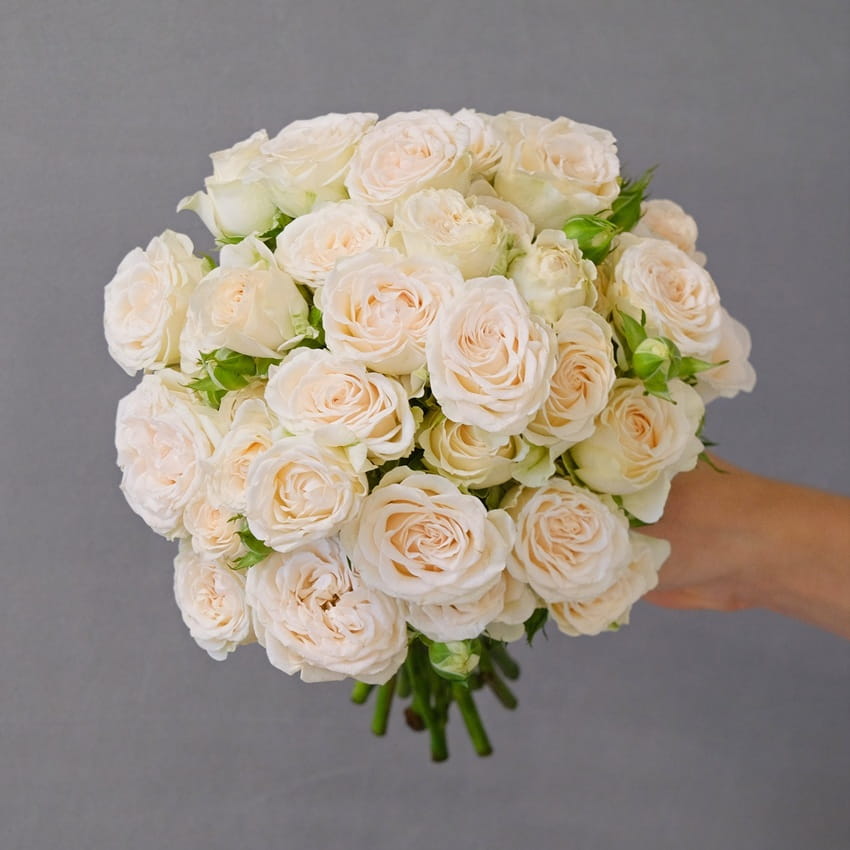Букет невесты из пионовидных кустовых роз "Софи"